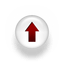 Scroll to Top Page