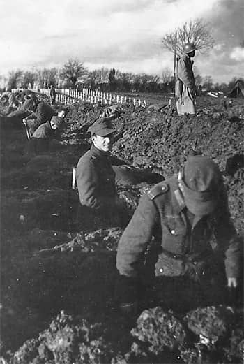 POWs digging graves-min